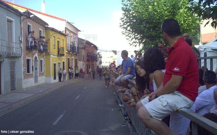 foto de los novillos